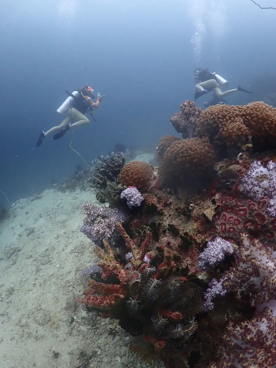 Divemaster