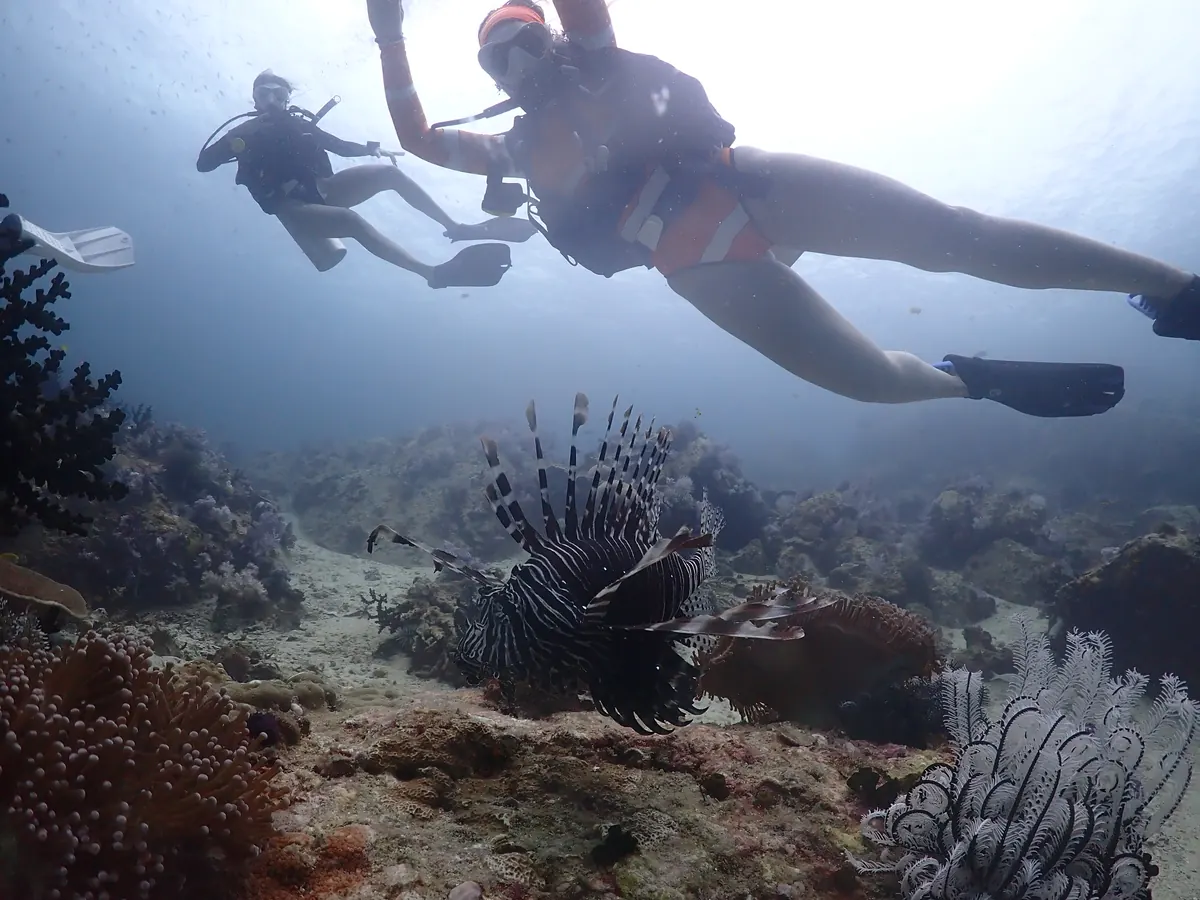 Rescue Diver
