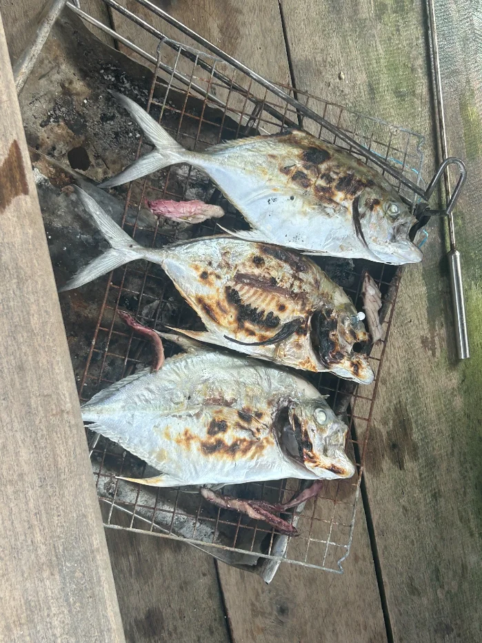 Freshly grilled BBQ fish from a Koh Lipe fishing trip, served as a beach picnic on Koh Adang