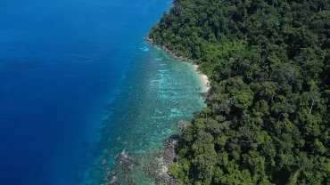 Surrounding islands