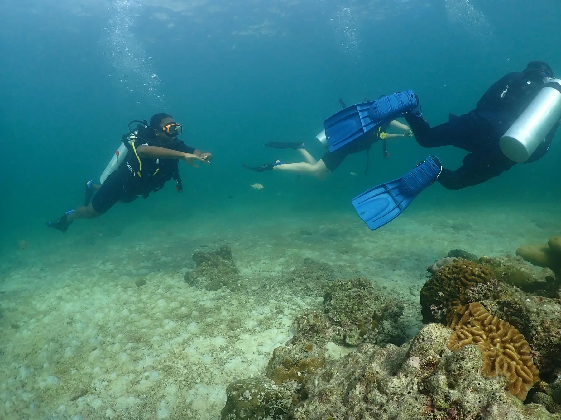 Scuba diving Koh Lipe: An honest guide from someone who runs a dive centre here on Koh Lipe